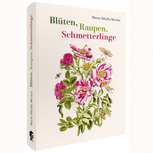 Blüten, Raupen, Schmetterlinge